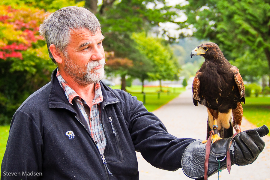 Steve and the Hawk