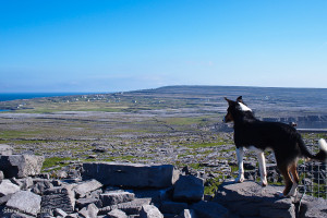 Overlooking his Kingdom of Inishmore